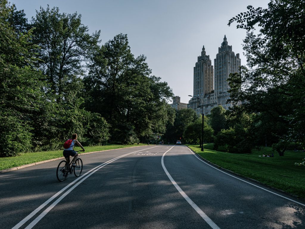 Things to do at Central Park in nyc