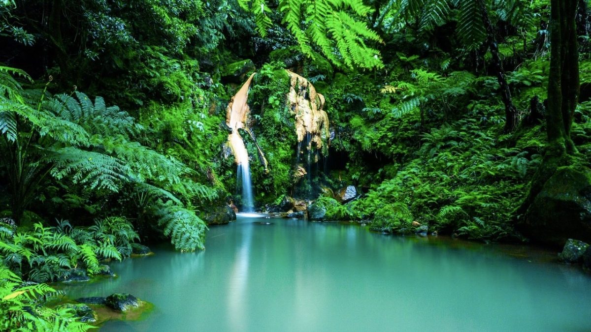Azores Hot Spring Guide The Best Sao Miguel Azores Hot Springs