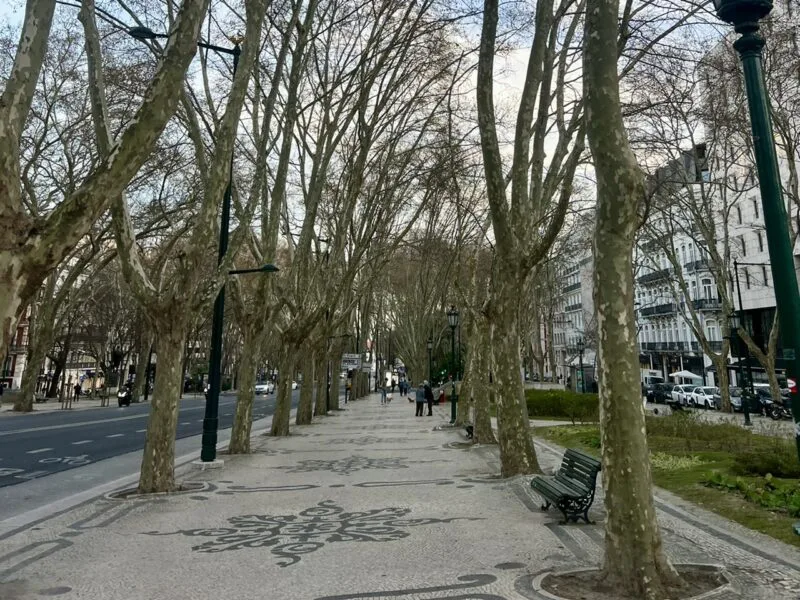 things to do in Lisbon portugal