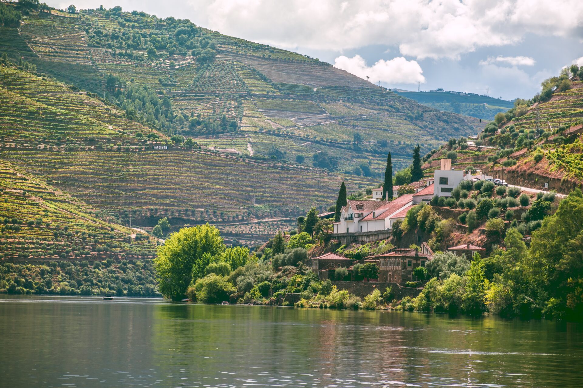 Douro valley in portugal