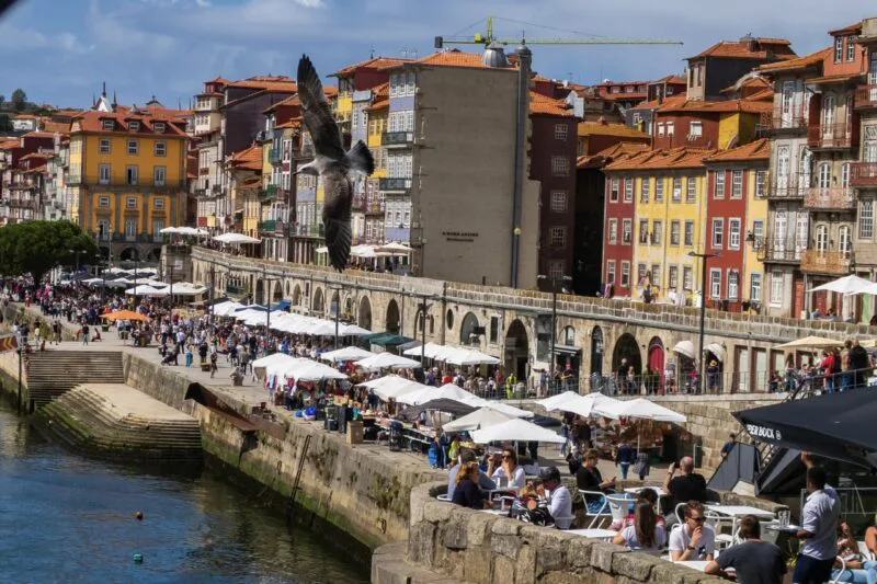Best Places for Where to Stay in Porto Portugal