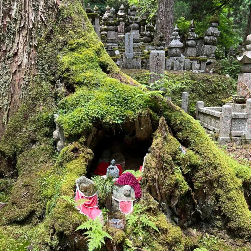 Best Things to do In Koyasan Japan