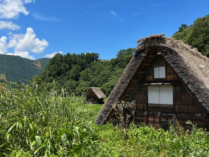 Shirakawago Day Trip from Takayama