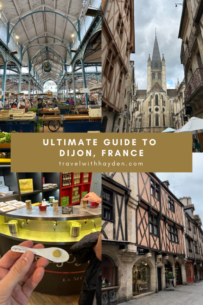 Dijon Travel Guide Pinterest Pin