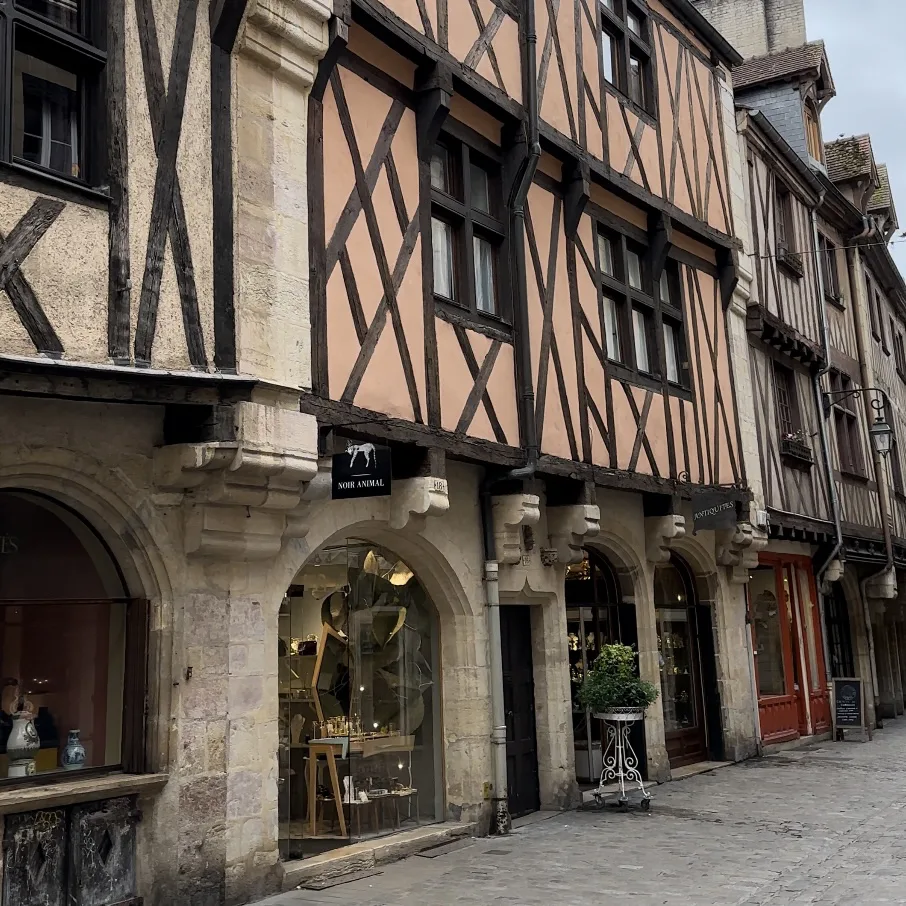 Dijon Travel Guide