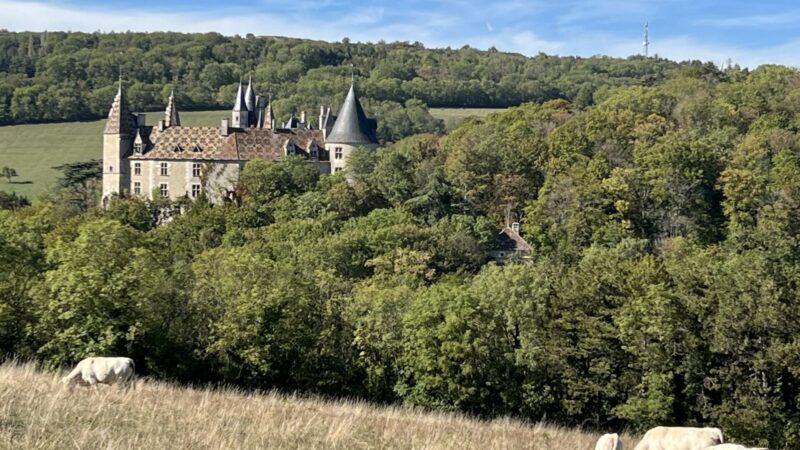 Burgundy France Travel Guide