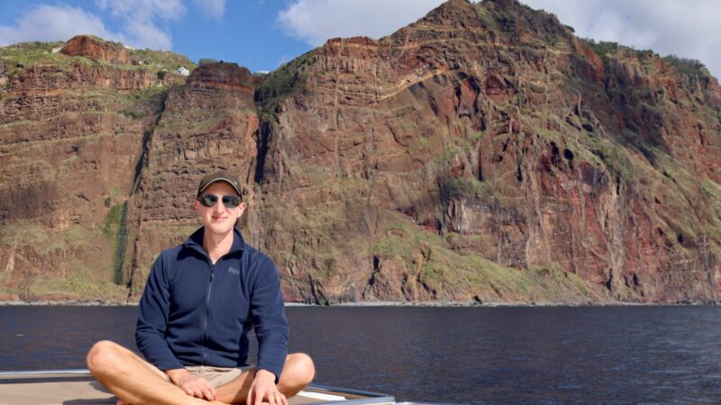 whale watching in madeira