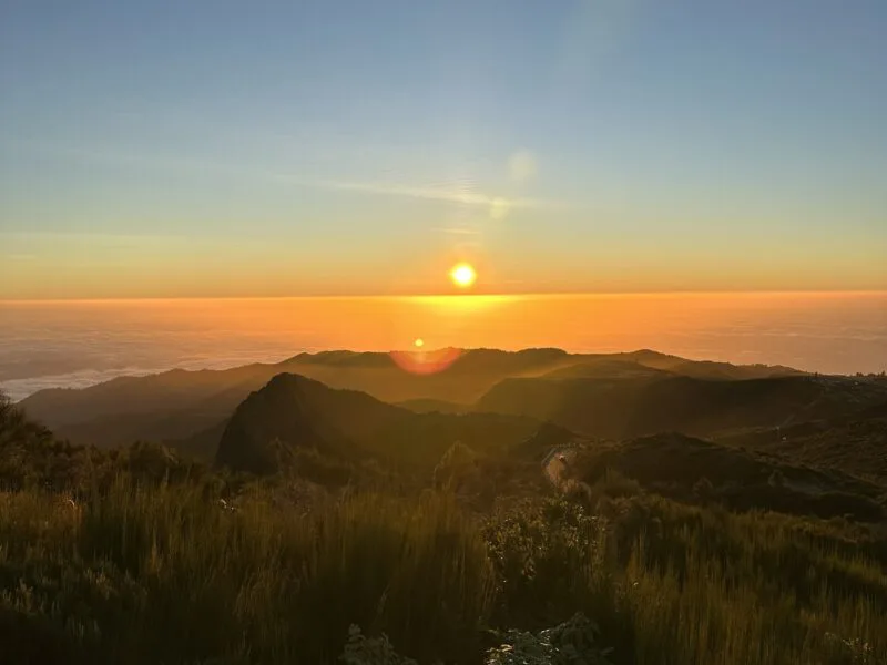 Best Things to Do in Madeira