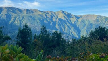 view from the best place to stay in Madeira