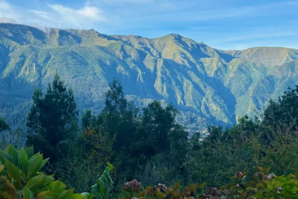 view from the best place to stay in Madeira