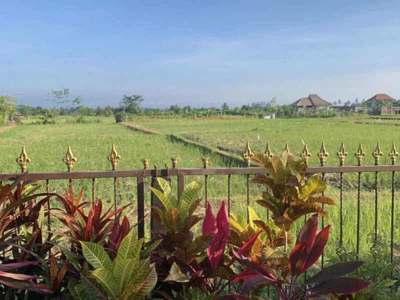 Ubud Bali