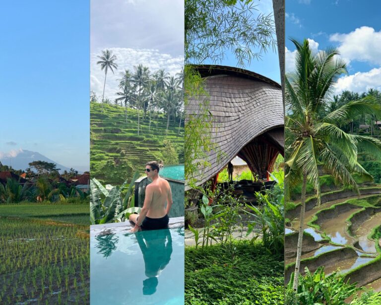 Ubud Bali Complete Travel Guide-Best Things To Do, Stay & More!