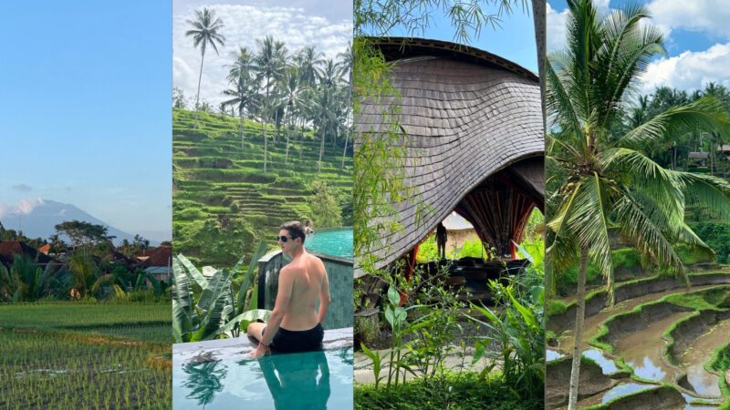 Ubud Bali Travel Guide