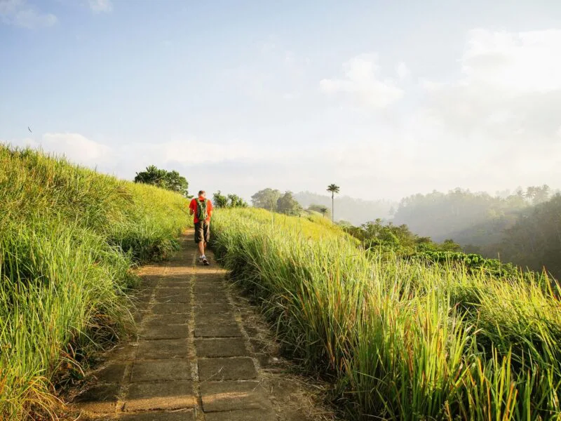 Ubud Bali