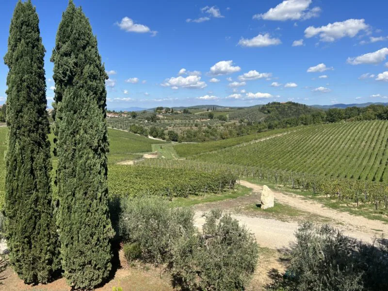 Rolling Hills of Tuscan Countryside