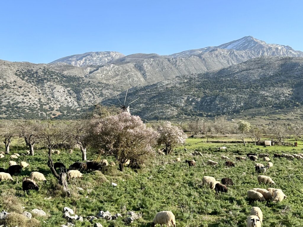 Lasithi Plateau in Crete
