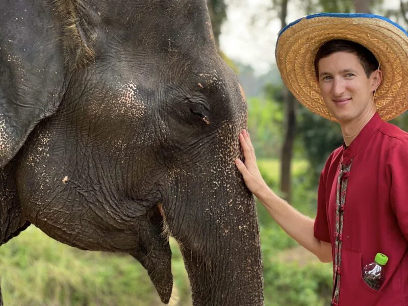 Elephant Sanctuaries in Thailand