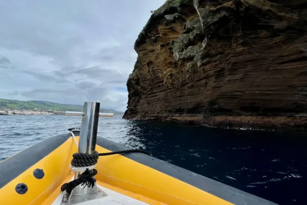 Azores Whale Watching Guide-The Best Whale Watching in Azores
