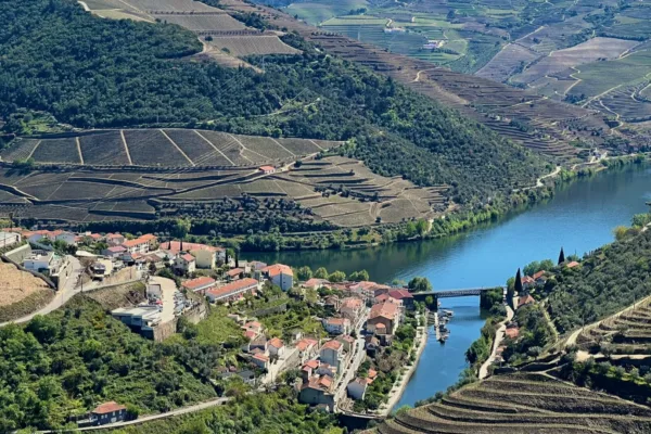 vineyard and river views in the douro valley of Portugal