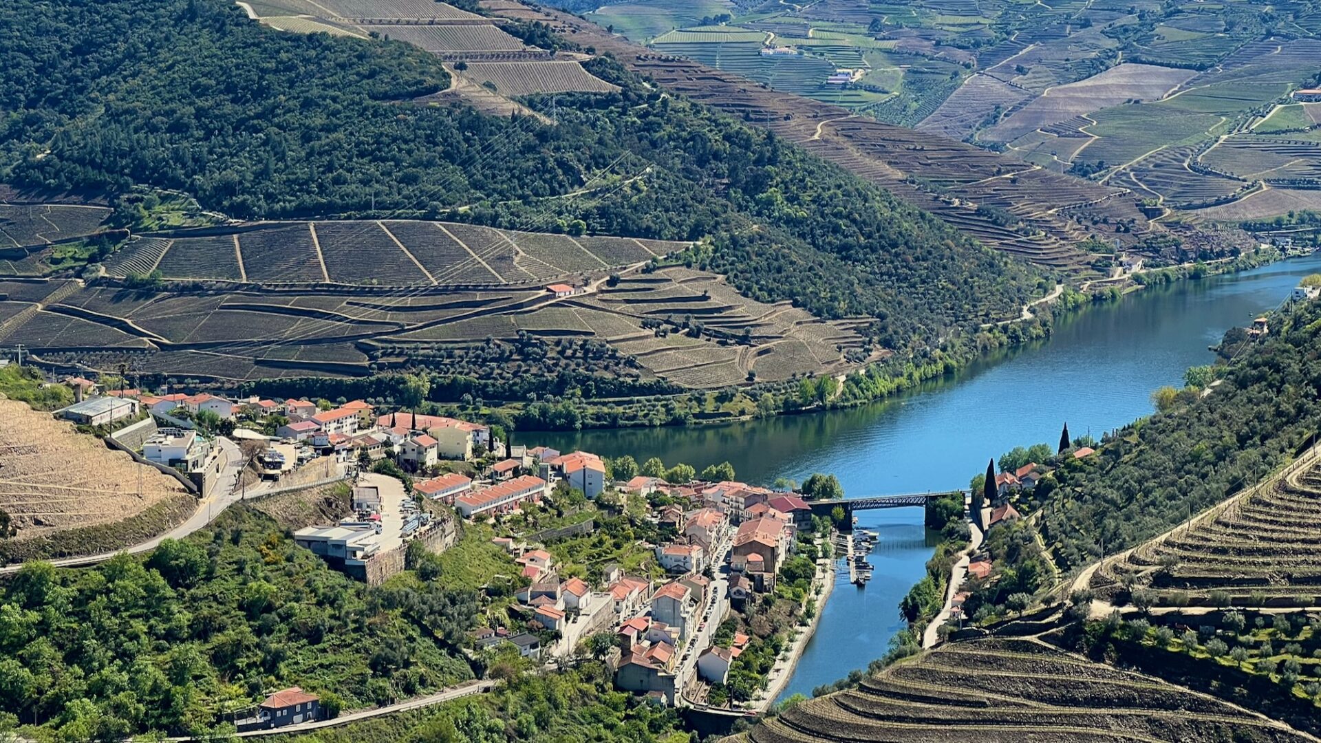 vineyard and river views in the douro valley of Portugal
