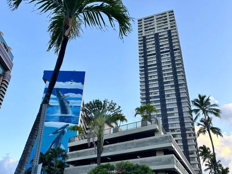 Where to Stay in Waikiki