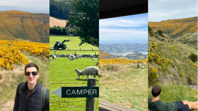 Orton Bradley Park, NZ Guide Cover Photo