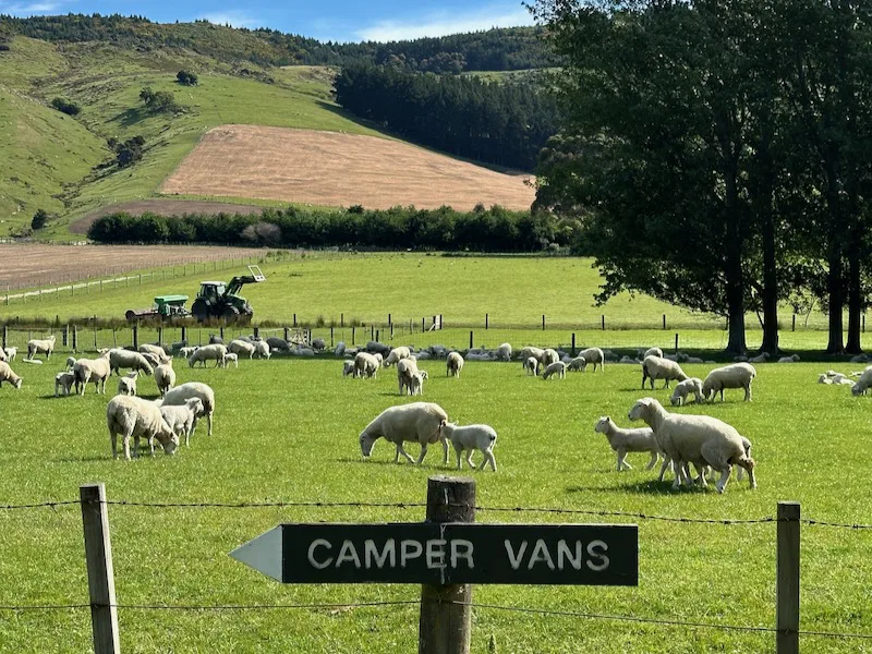 Camping at Orton Bradley Park New Zealand