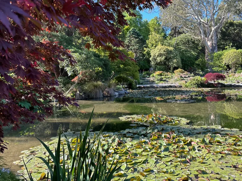 Free Things to Do in Christchurch
