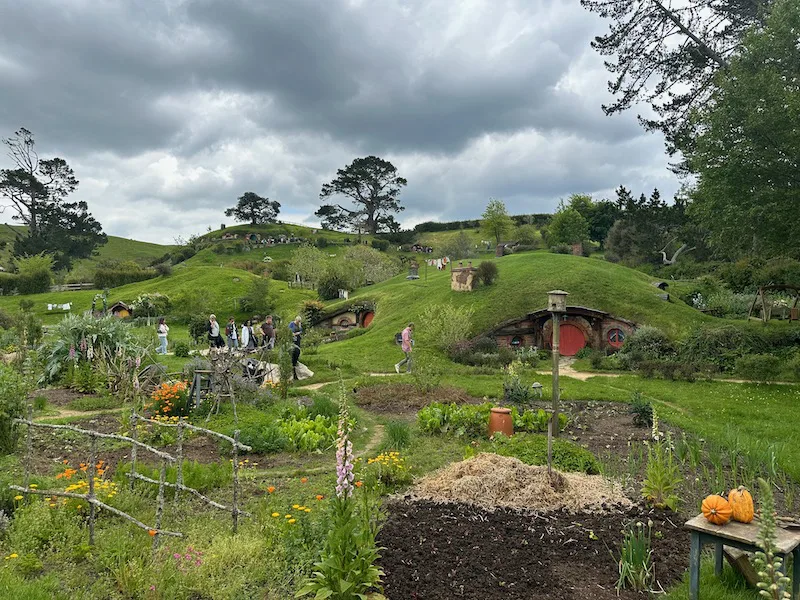 Hobbiton Tour Options Excursions and Tickets
