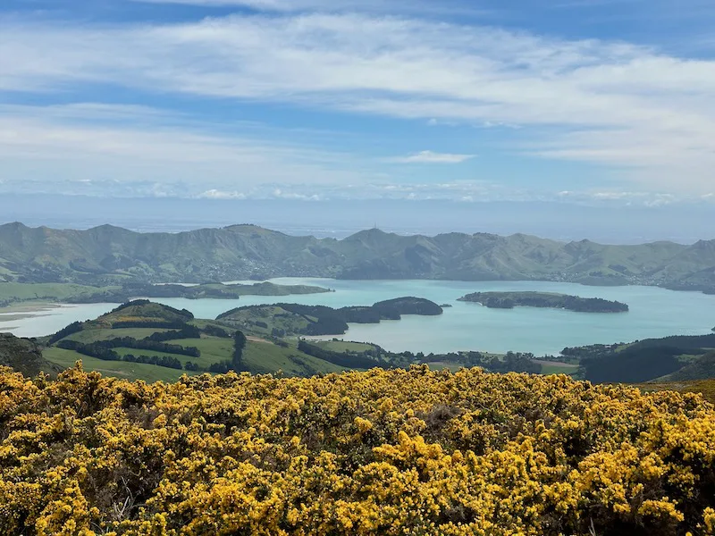Why You Should Visit Orton Bradley Park in New Zealand