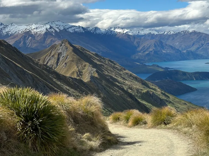 Best Time to Hike Roys Peak New Zealand
