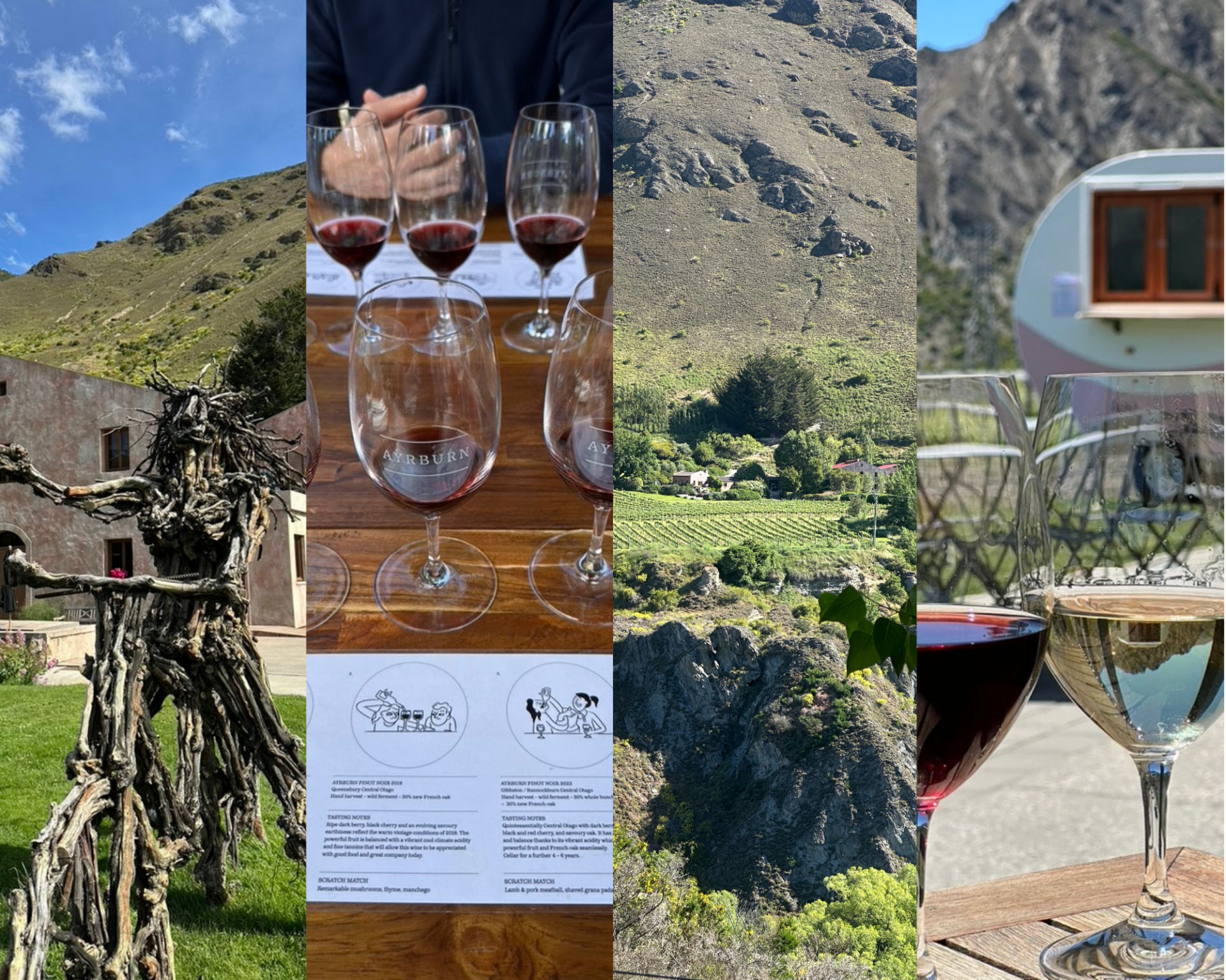 Best Queenstown Wineries in Central Otago and Gibbston Valley New Zealand