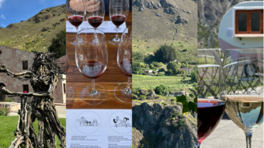 Best Queenstown Wineries in Central Otago and Gibbston Valley New Zealand