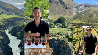 Gibbston Valley Wine Trail Cover Photo