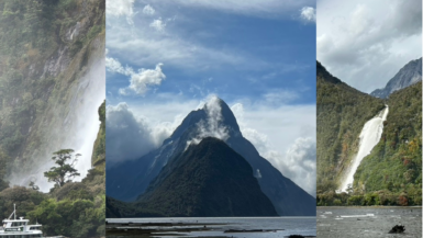 Milford Sound Travel Guide