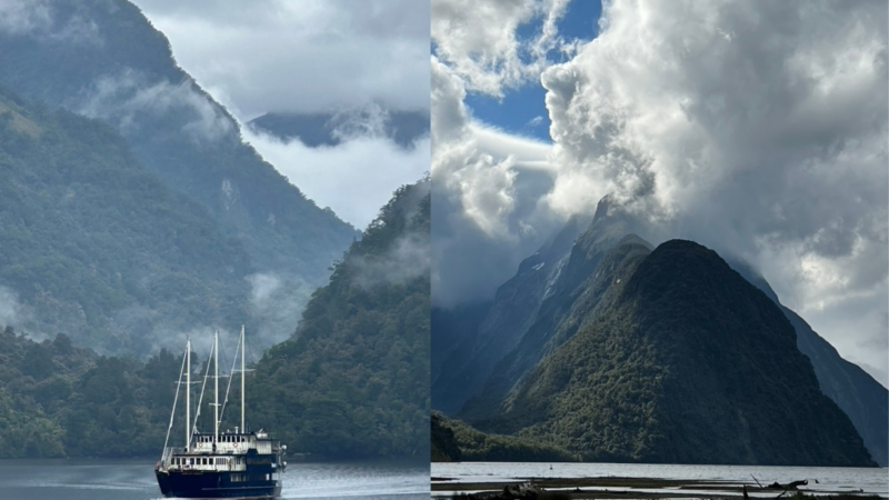 Milford Sound vs Doubtful Sound Travel Guide