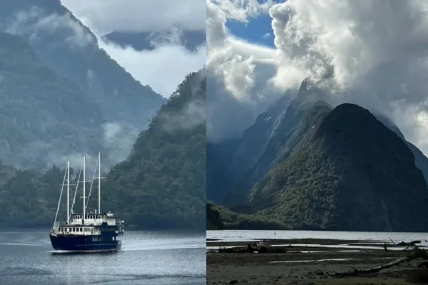 Milford Sound vs Doubtful Sound Travel Guide