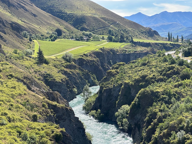Are Queenstown Wineries Worth Visiting?