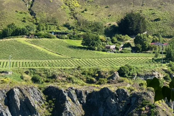 cliffside winery at Chard Farm, one of the best wineries in Queenstown in the Gibbston Valley