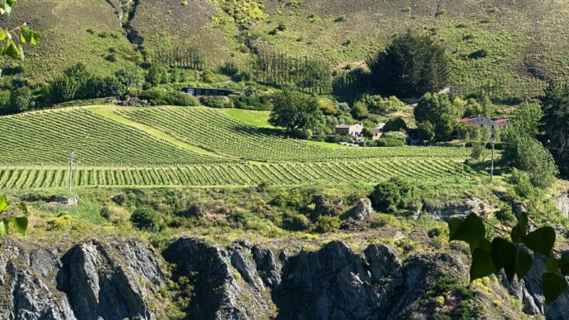 cliffside winery at Chard Farm, one of the best wineries in Queenstown in the Gibbston Valley