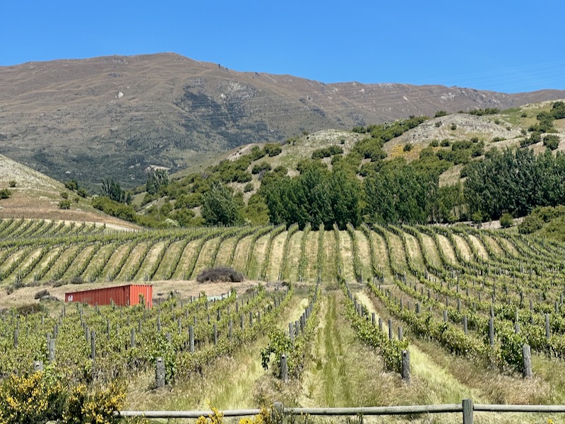 Best Time of Year to Visit Central Otago Wineries