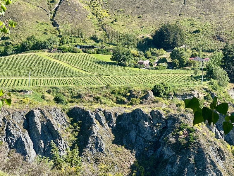 Best Wineries on the Gibbston Wine Trail in Queenstown New Zealand