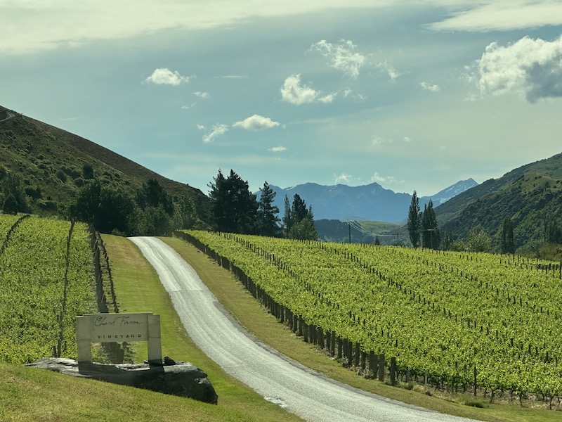 Chard Farm Vineyards