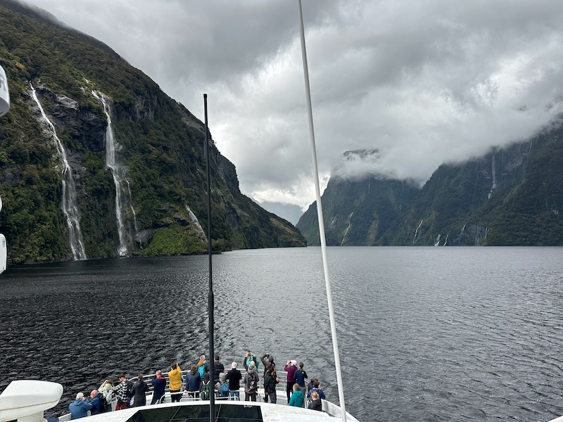 Doubtful Sound Day Cruise Itinerary What to Expect