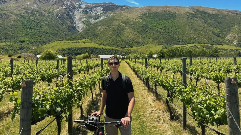 Biker in vineyard with mountains backdrop on the Gibbston Valley Wine Trail near Queenstown