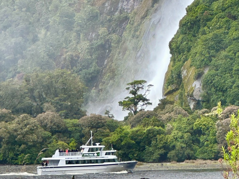 Milford Sound Cruises Day Trip vs Overnight