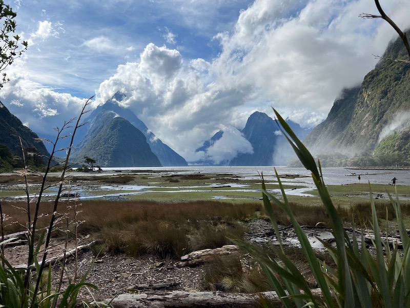 Milford Sound Itinerary Ideas