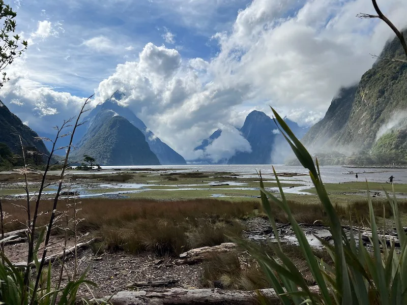 Milford Sound Itinerary Ideas