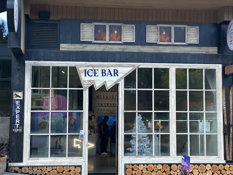 Queenstown Ice Bars