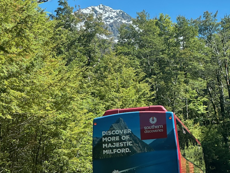 Queenstown to Milford Sound Day Trip